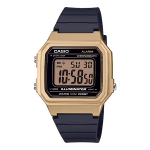 Casio W-217HM-9A Timeless gold resin square case, black resin strap, black dial with gold-tinted digital display men's vintage watch